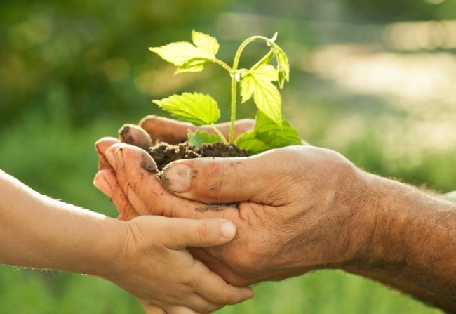 Sustainability through longer textile life