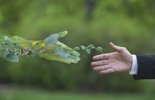 WOPCOM Blog. The 2020s: Will Sustainability Issues Fuel Client Demand in the Next Decade? by Mrs. Nancy Jenkins