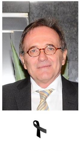Mr. Antonio Puertolas Campo