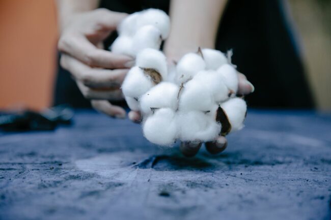 Fashion industry dilemma: sustainable raw materials demand could exceed supply!