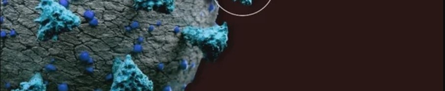 HMPV virus outbreak - is there a reason for concern?