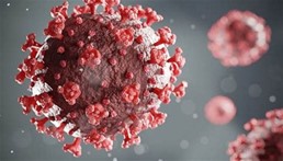 various seasonal outbreaks of respiratory diseases