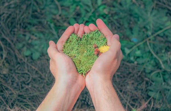 Sustainability Sweden